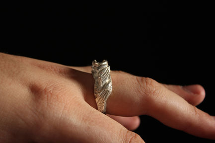 Landscape Ring