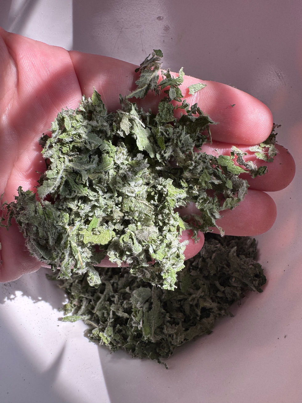 Peppermint