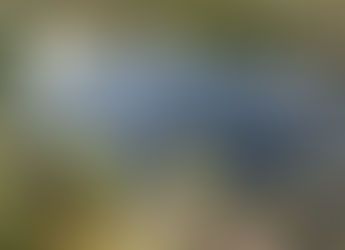 Un été fertile (1)