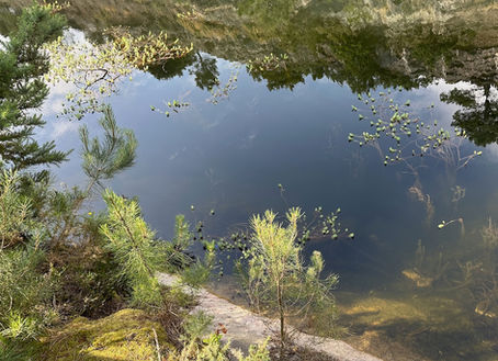 Un été fertile (1)