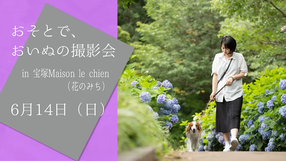 おそとで、おいぬの撮影会in 宝塚メゾンルシアン(花のみち)