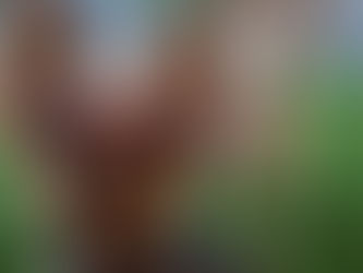 Hey There Casual Sniffers!