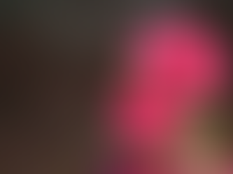 Bring My Flowers Now