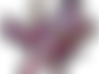 Questing Knight Marikan To Spotlight