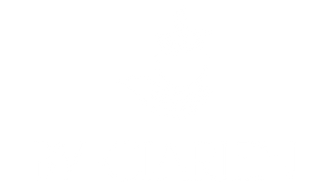 white_logo_transparent_background.png