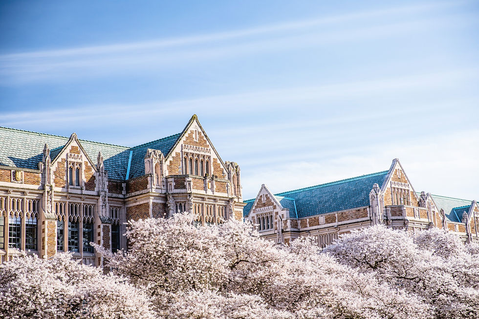 Enjoy the Cherry Blossom and Red Square Live Streams