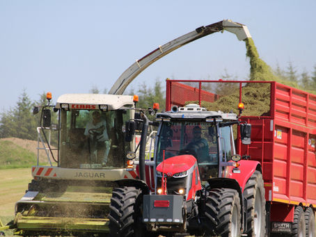 Cost inflation, weather, and silage additives are challenges to higher silage costs