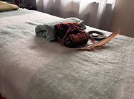IMG_6687.jpeg