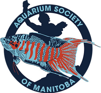 ASM-Paradise-Fish-Logo-WhiteCircle-BG-Print.png