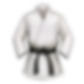 You can stream martial arts on Cam One