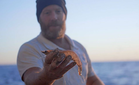 PFA-Practicing-Prawn-Sustainability.jpg