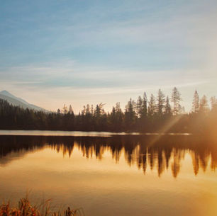 The Comfort: When Peace Comes into the Picture