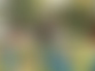 קבוצת חברים צעירים מבצעים 'תרגיל אמון' (Trust Fall) בפארק ציבורי חיצוני שטוף שמש. במרכז התמונה, אישה שחורה עם שיער אפרו, לבושה בחולצה ירוקה וג'ינס, נופלת לאחור בעיניים עצומות. גבר מזוקן תופס אותה מאחור, בעוד שלושה חברים נוספים עומדים מסביב ומחייכים. כולם מחייכים ושמחים, מוקפים בתיקים על הדשא.