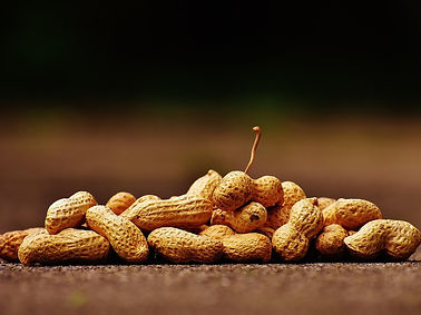 peanuts-g8fe5dcab4_1280 (1).jpg