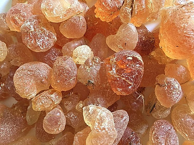 Gum Arabic.jpg