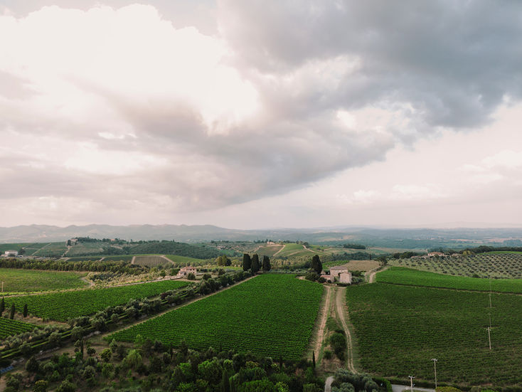 Tuscan landscape with vineyards and cypresses