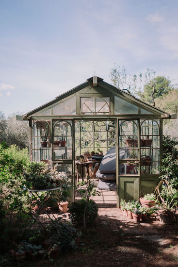 Greenhouse exterior, plants in pots, open door, garden setting, sunny day