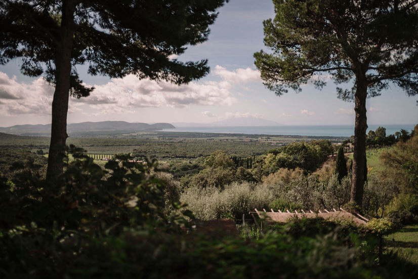 Scenic view of the coastline through trees and lush greenery. Seaside wedding at Borgo dei Santi.