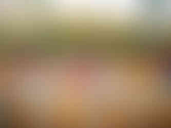 Haley_Benji_Gamberaia_0083