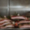 Pancetta stagionata con aglio ed erbe aromatiche