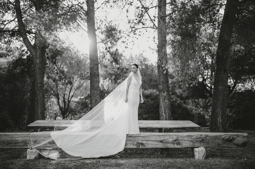 Sposa elegante con velo lungo, posa in un ambiente alberato e soleggiato.