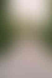 Elegant portrait of a woman in a light dress smiling along a cypress lane at Borgo Santo Pietro, with soft light and romantic atmosphere in Tuscany