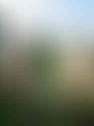 DJI_0221