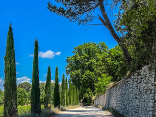 Provence og Middelhavet