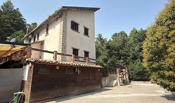 IMG_4855.jpeg
