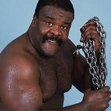 The Junkyard Dog