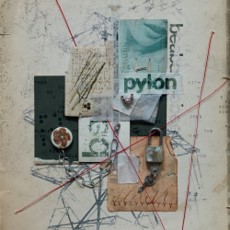 beabadoobee Pylon album artwork