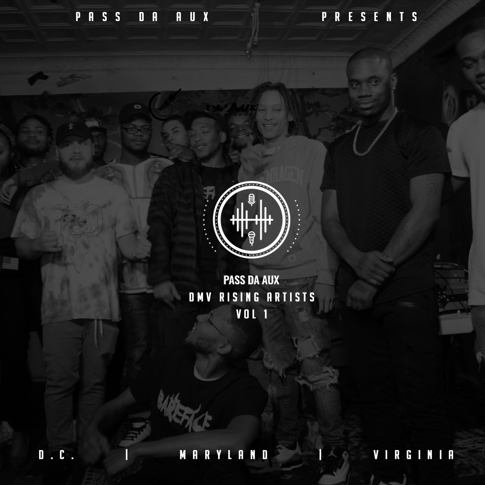 D.M.V. Rising Artists: Vol. 1
