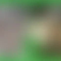 GAF and Atlas shingle comparison for Irwin PA homes showing material samples and performance specifications