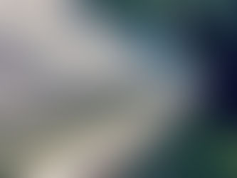 shingle, shingle roofing, shingles on roof, shingle option, roofing, roofer, roofing contractor, craig gouker roofing