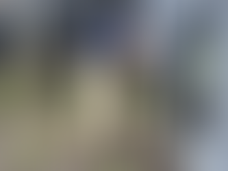 home inspection, home inspection service, home inspection near us, full home inspection, home inspection inclusion, first class home inspections