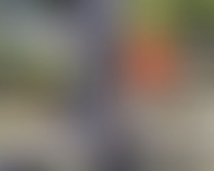 tree trimming, tree pruning, tree removal, stump grinding, brinko, tree service