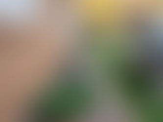 home inspection, home inspection service, home inspection near us, full home inspection, home inspection inclusion, first class home inspections