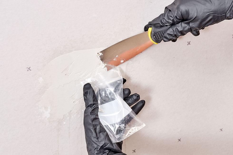 home inspection