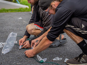 Should You DIY Or Hire For Holiday Lighting?