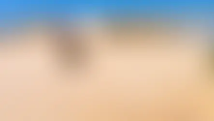 Professional contractor installing synthetic roof underlayment on Western PA home with quality materials from CGR Wholesale supply center