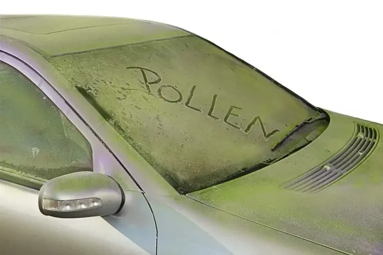 Close-up of yellow pollen coating a dark car hood showing early paint damage from spring pollen in Western Pennsylvania