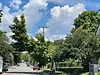 tree-near-power-line.webp