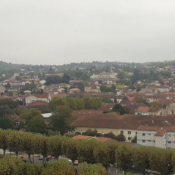 20251015_101558 (1).jpg