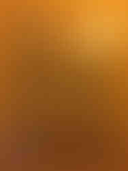 LA TRAVIATA Opernposter