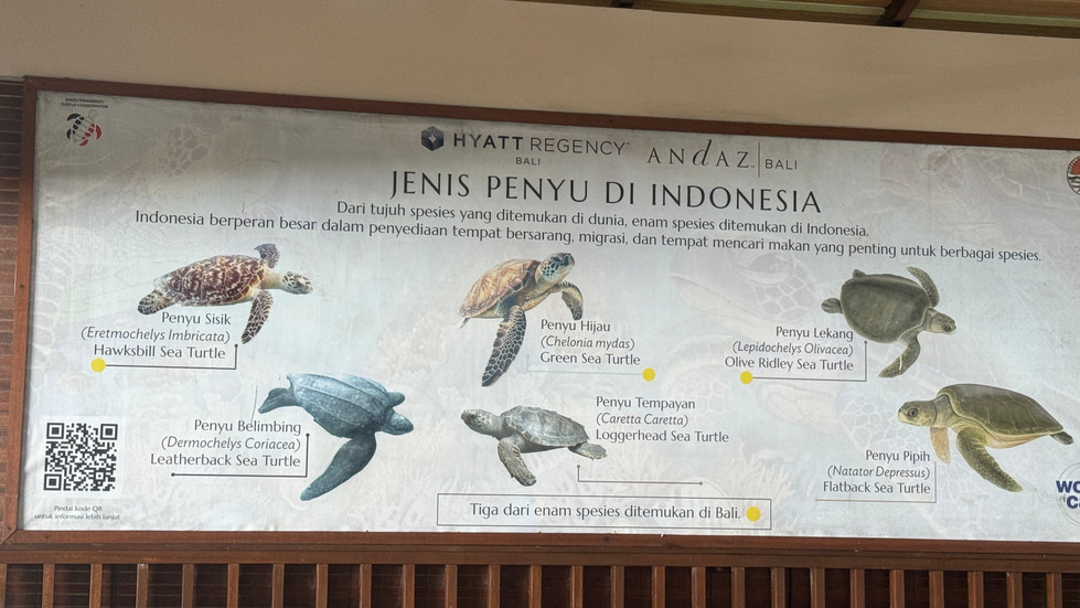 Artenvielfalt Erklärungen