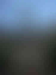 Leonardo da Vinci Denkmal mit seinen vier Jüngern