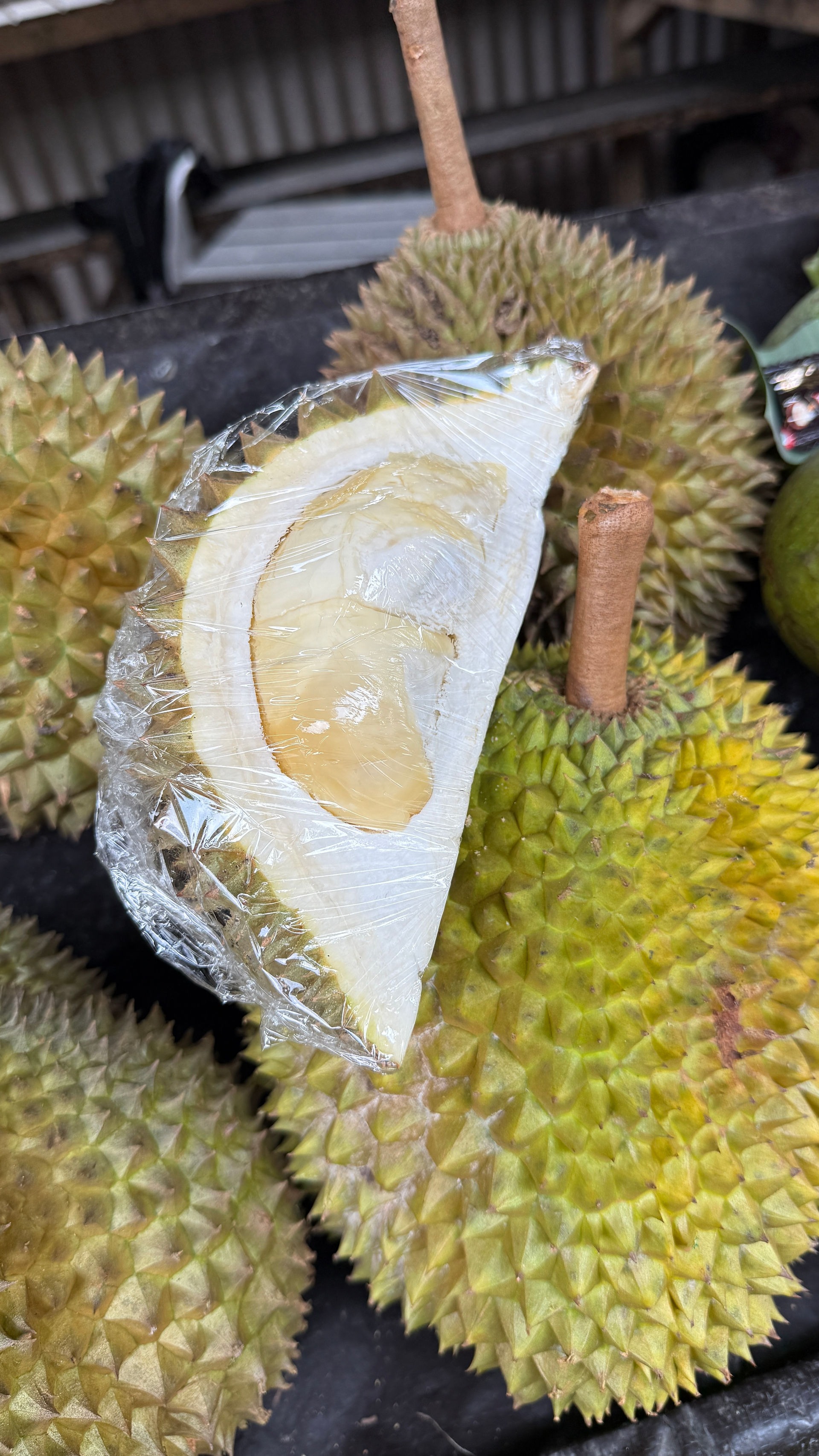 Durian - Kotzfrucht