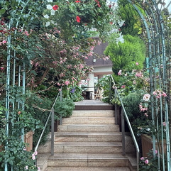 Rosengesäumter Bogen