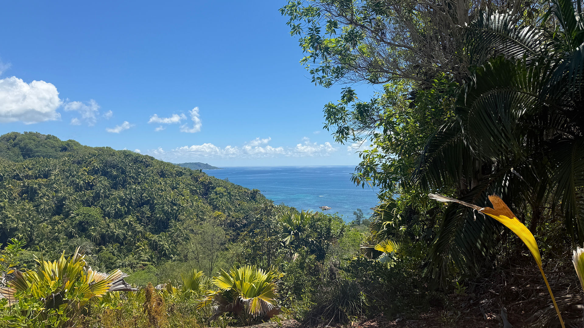 View Point