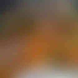 Verschiedene Gerichte zur Auswahl